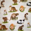 099 Cats - 3-ply - Ambiente